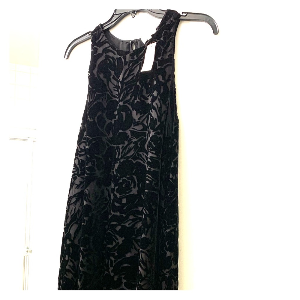 NWT Wilfred Velvet/Silk Dress from Aritzia, Size S